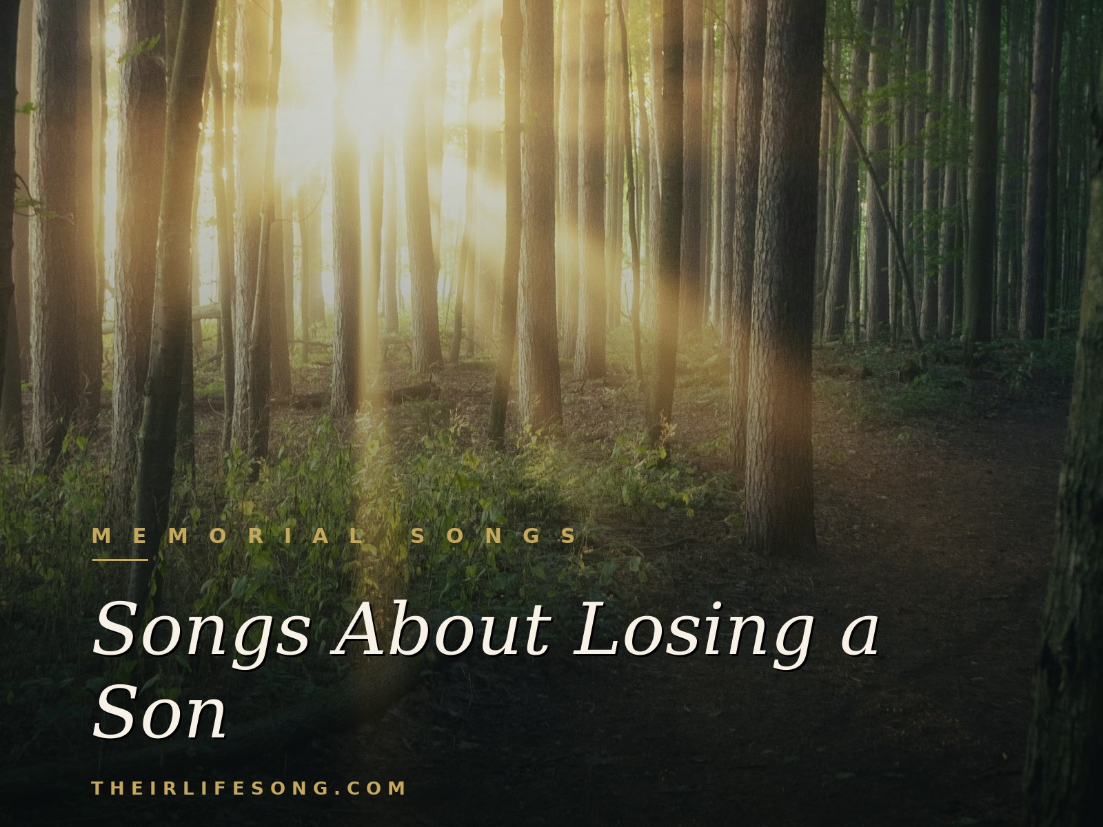 Songs About Losing a Son — Their Life Song Journal