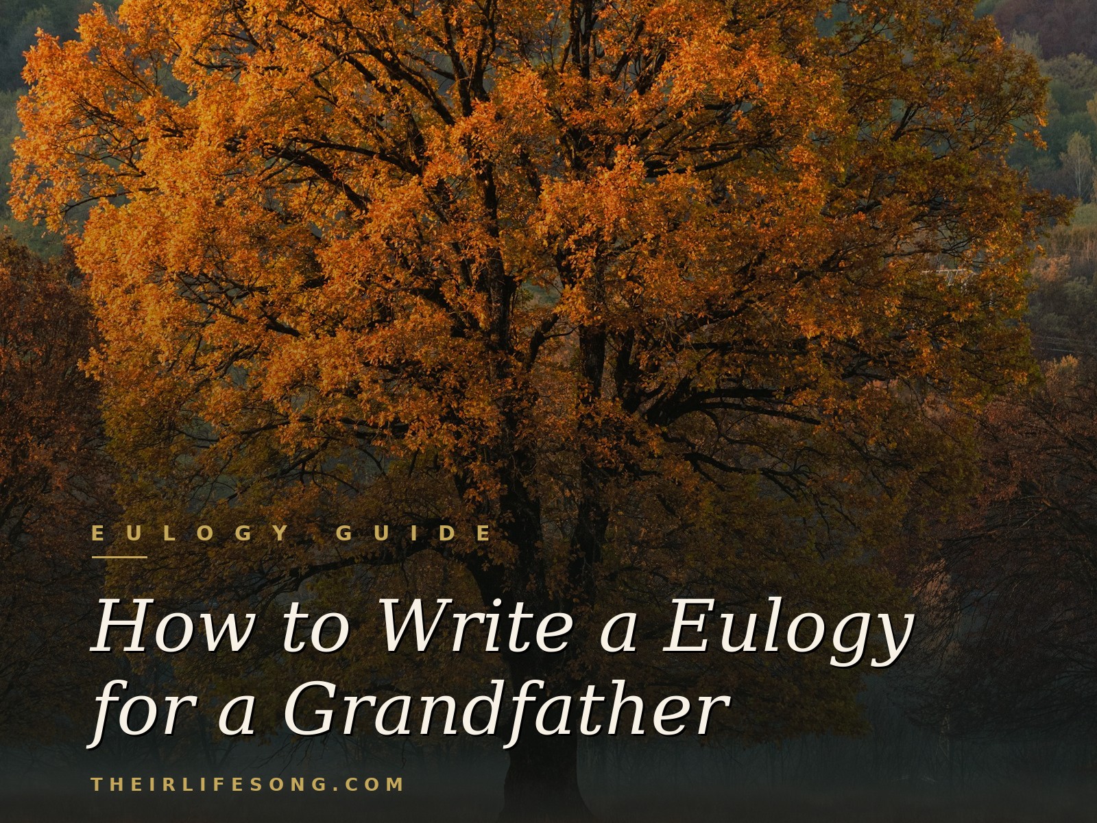 How to Write a Eulogy for a Grandfather: A Guide With Examples — Their Life Song Journal