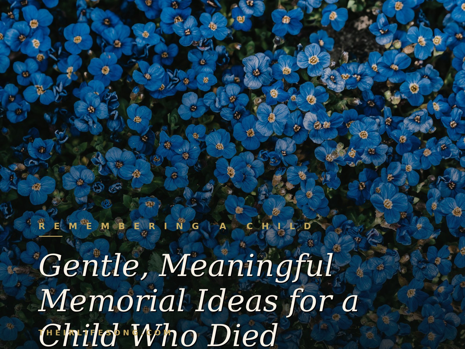 Gentle, Meaningful Memorial Ideas for a Child Who Died — Their Life Song Journal