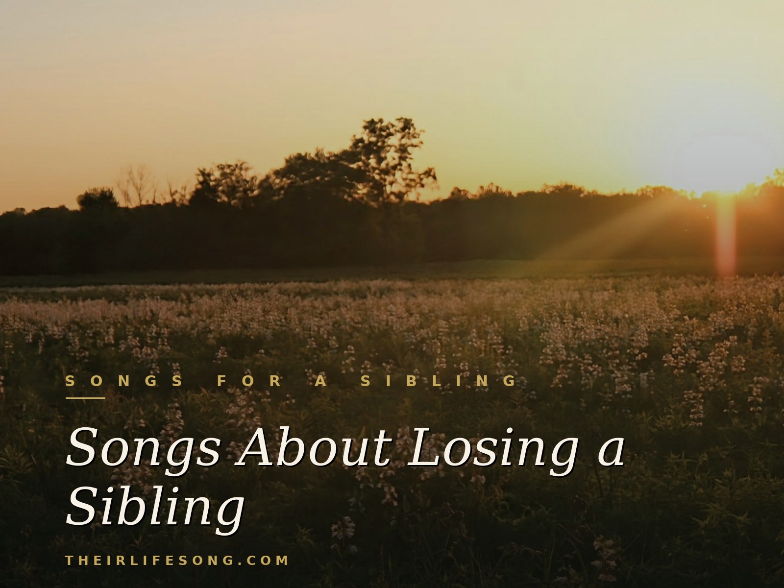 Songs About Losing a Sibling — Their Life Song Journal