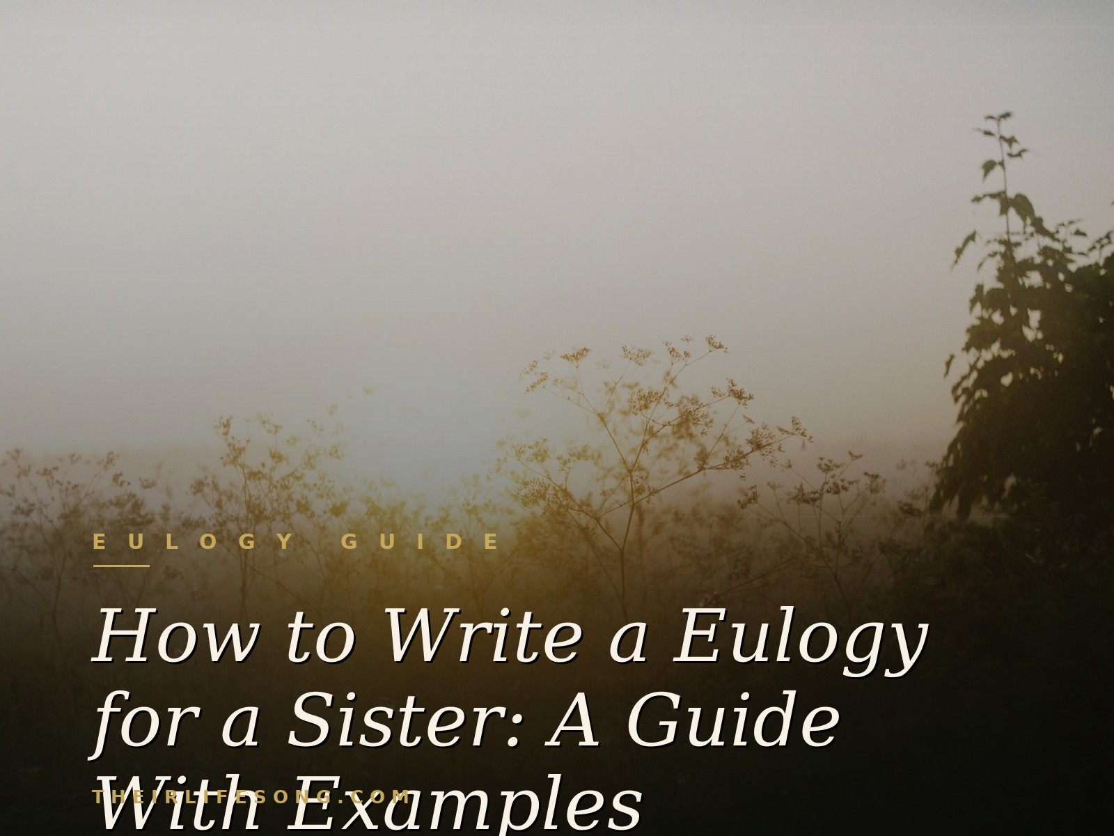 How to Write a Eulogy for a Sister: A Guide With Examples — Their Life Song Journal