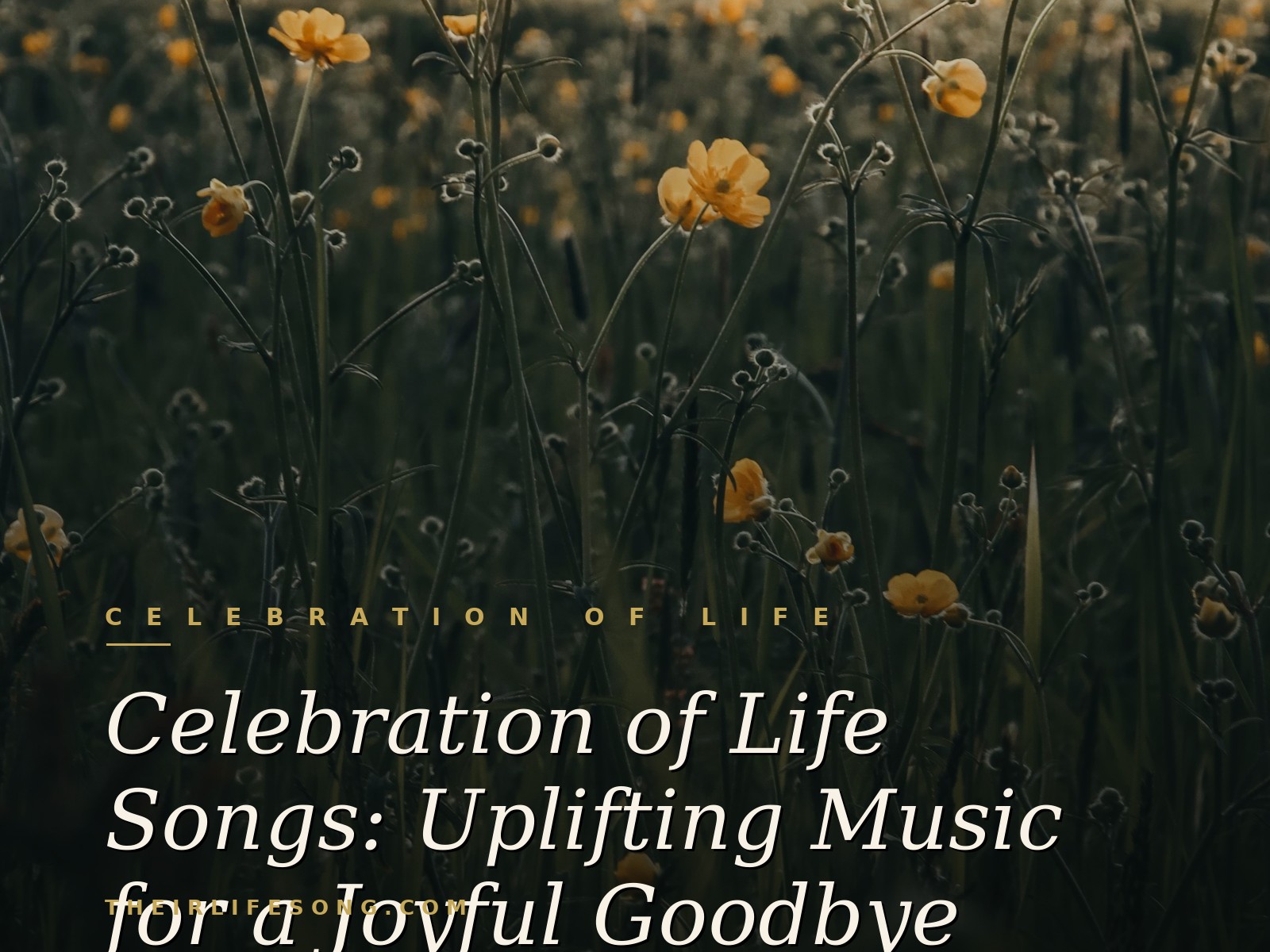 Celebration of Life Songs: Uplifting Music for a Joyful Goodbye — Their Life Song Journal