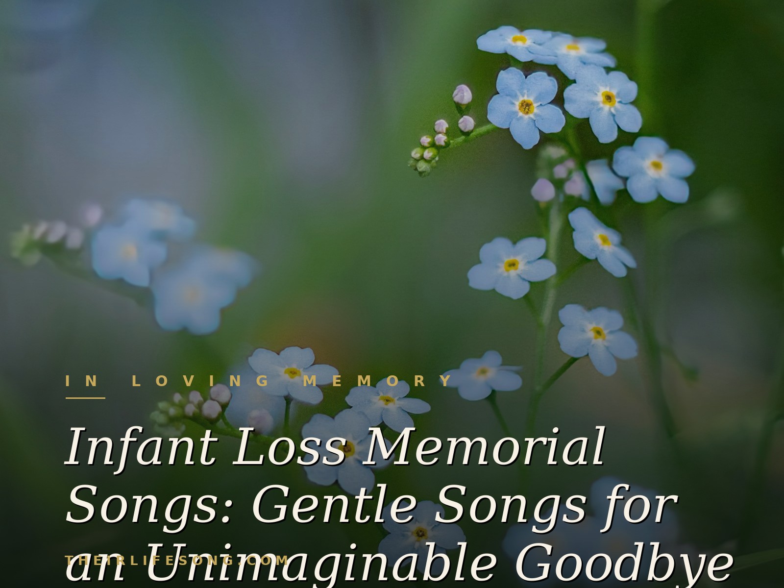 Infant Loss Memorial Songs: Gentle Songs for an Unimaginable Goodbye — Their Life Song Journal